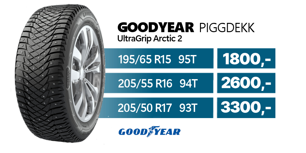 Goodyear%20pigg-25