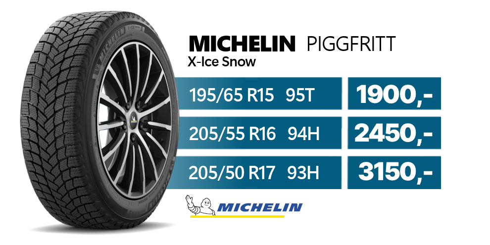 Michelin%20piggfritt-25