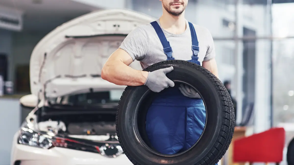 paalitelig-service-bilder